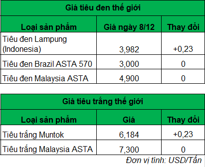 gia tieu truc tuyen_1702285641.png